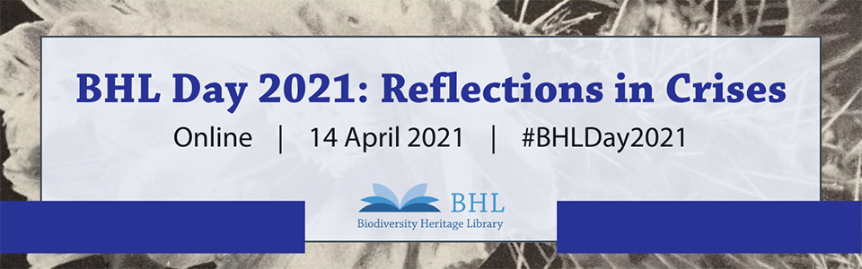 Graphic for BHL Day 2021: Reflections in Crises