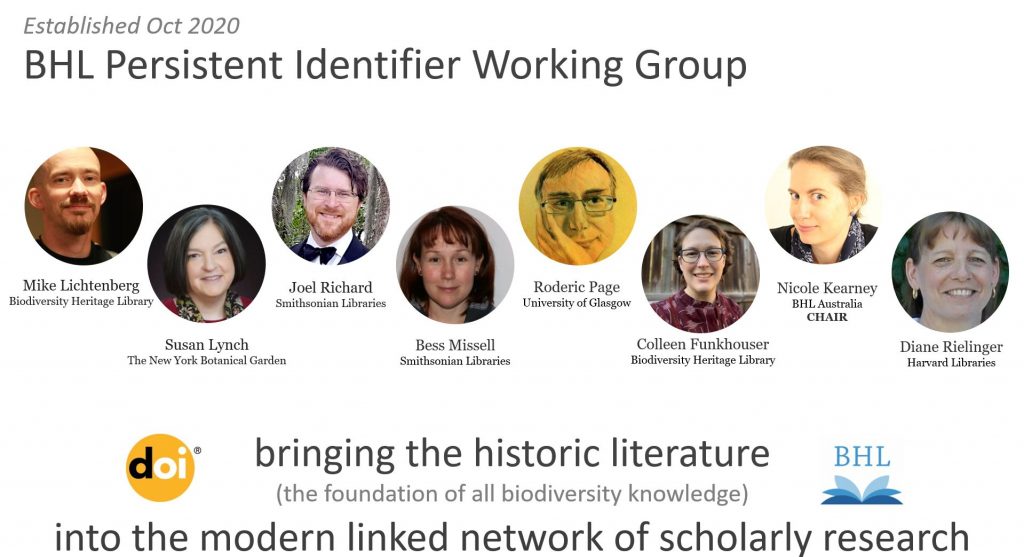 Graphic showing the members of BHL's Persistent Identifier Working Group
